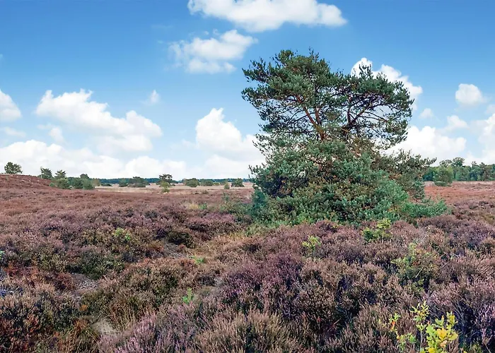 Campsite Lovely Stacaravan In With Wifi